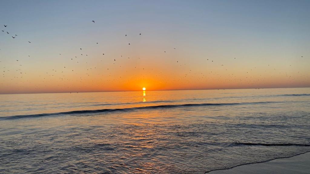 Villa La Palma 2, Imi ouaddar