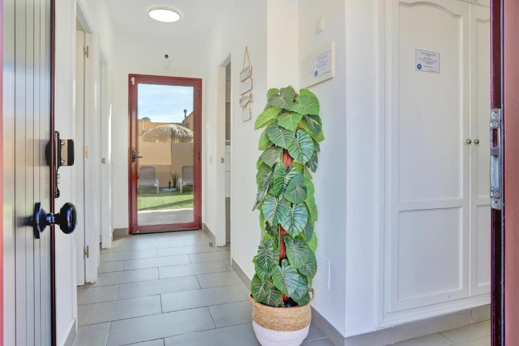 Fotografie z fotogalerie ubytování Casa Mavadel v destinaci Lajares