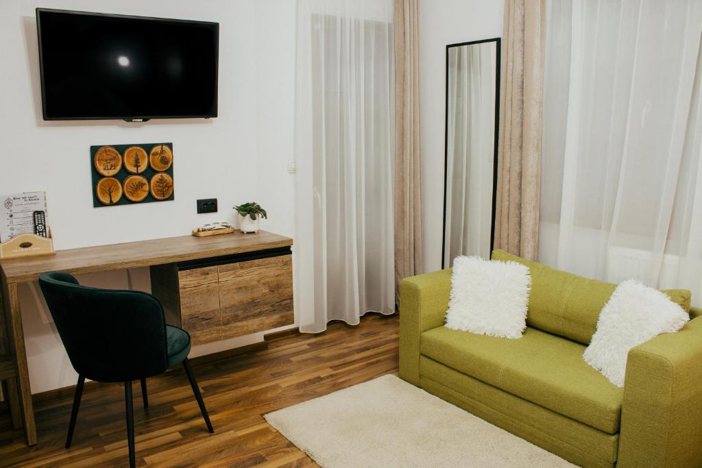 TV a/nebo společenská místnost v ubytování Casa Traian