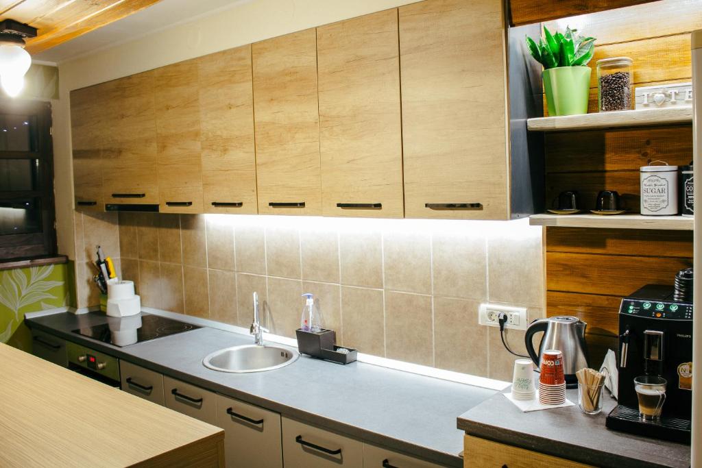 Kuchyň nebo kuchyňský kout v ubytování Casa Traian