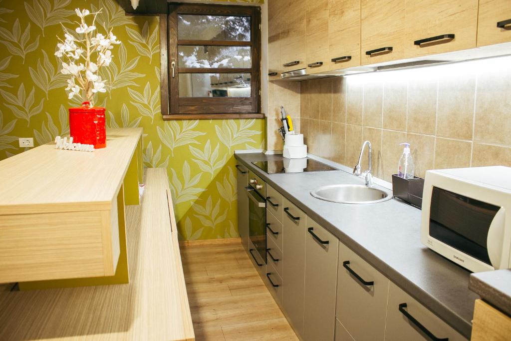 Kuchyň nebo kuchyňský kout v ubytování Casa Traian