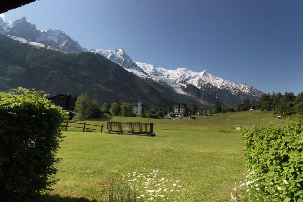 ein Feld mit einer Bank und Bergen im Hintergrund in der Unterkunft Le Savoy - Terrasse avec vue sur le Mont-Blanc in Chamonix-Mont-Blanc