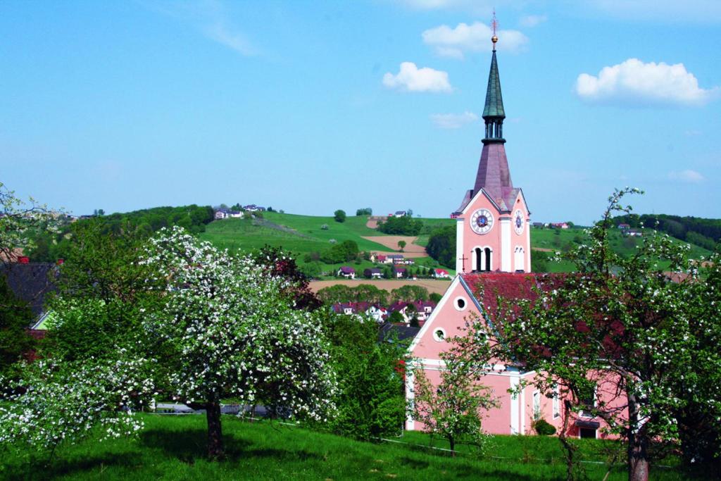 Příroda nedaleko hotelu