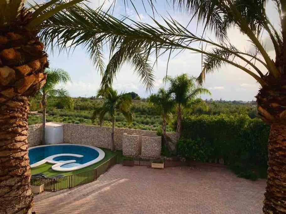 una piscina en un patio trasero con una palmera en 4-bedroom Villa with pool and barbacue en Elche