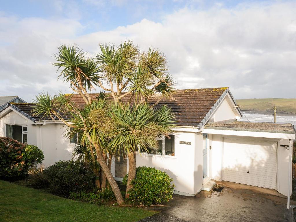 a white house with a palm tree in front of it at Trevega in Polzeath