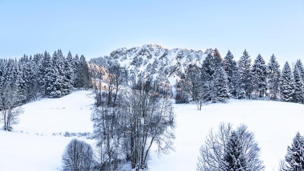 Schrofen Chalets tokom zime