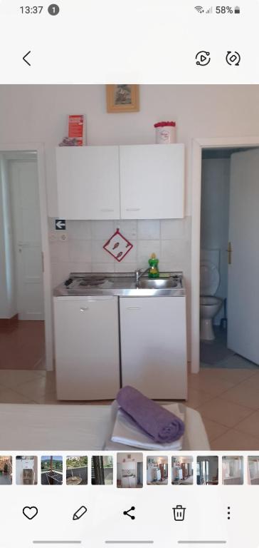 Kuchyň nebo kuchyňský kout v ubytování Villa Palfi