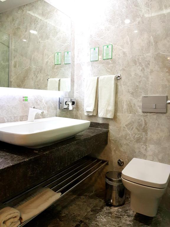 Holiday Inn Gaziantep by IHG - Camera King Standard - Non Fumatori