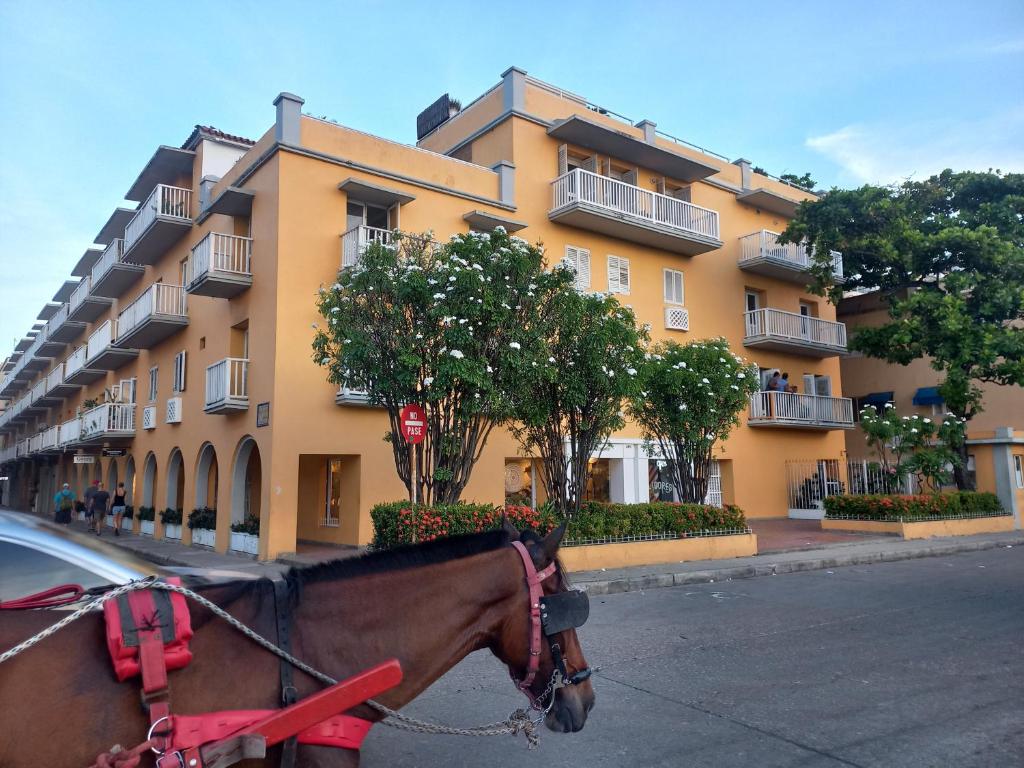 a horse is standing in front of a building at Apartamento centro historico in Cartagena de Indias