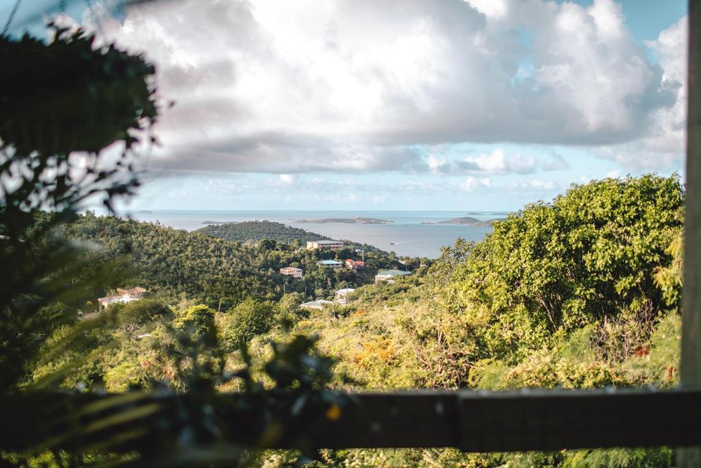 a view of the ocean from a hill with trees at Cruz Bay Tropical Condo in Bethany