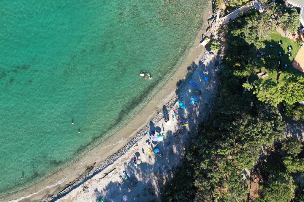 an aerial view of a beach and the ocean at Les villas de Bagheera, oasis naturiste in Linguizzetta