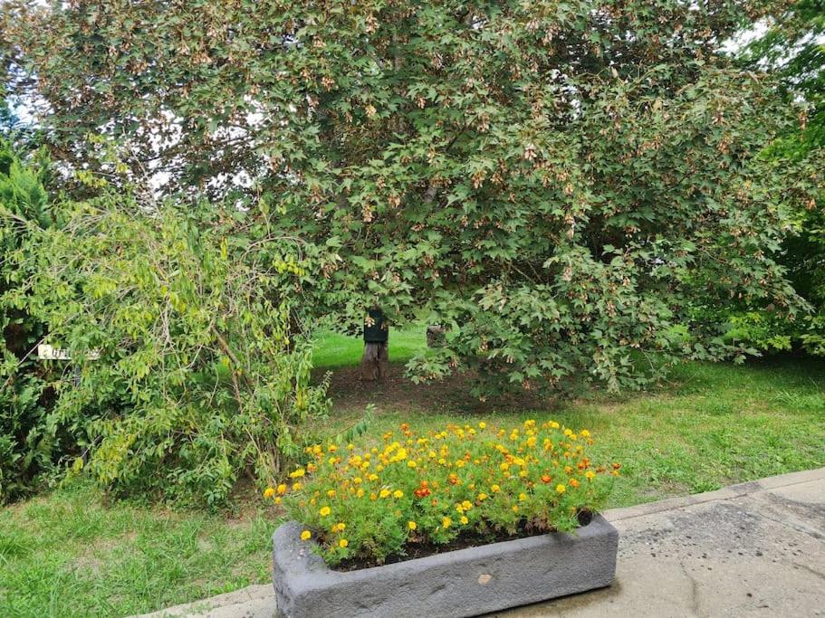 Zahrada ubytování PETIT GÎTE 18 ème tout confort