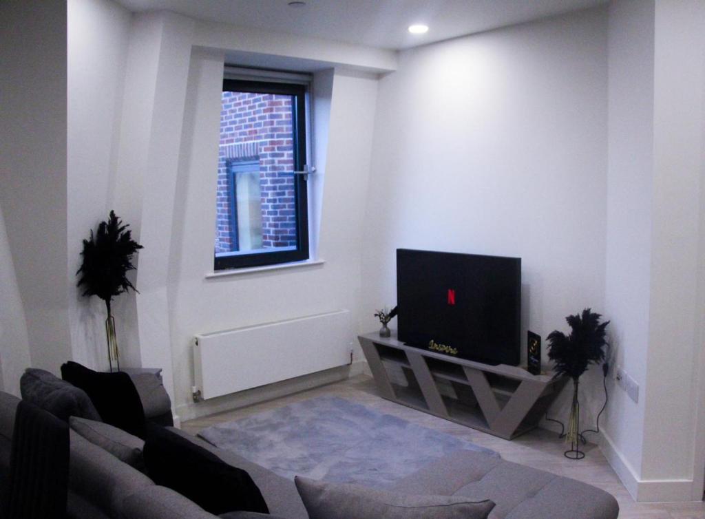 a living room with a couch and a flat screen tv at Cosy Central Bedford Apt - Free Parking, Gym, Netflix & Sky in Bedford