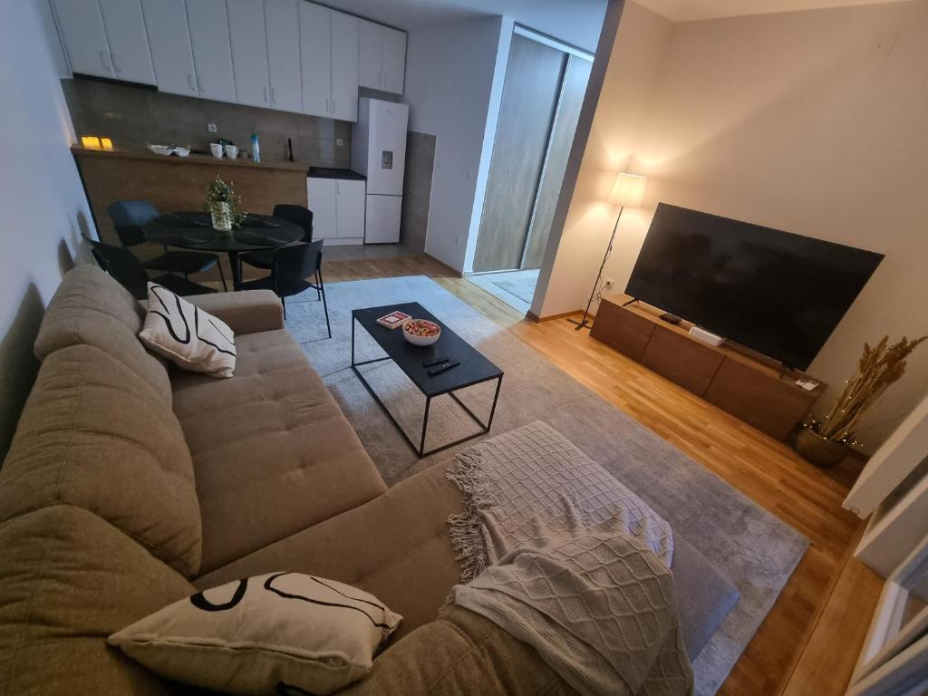 uma sala de estar com um sofá e uma televisão de ecrã plano em APARTMENT MOSCOW VRBAS em Vrbas