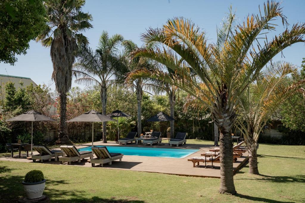 a swimming pool with chaise lounges and palm trees at Elianthe Guesthouse in Swellendam