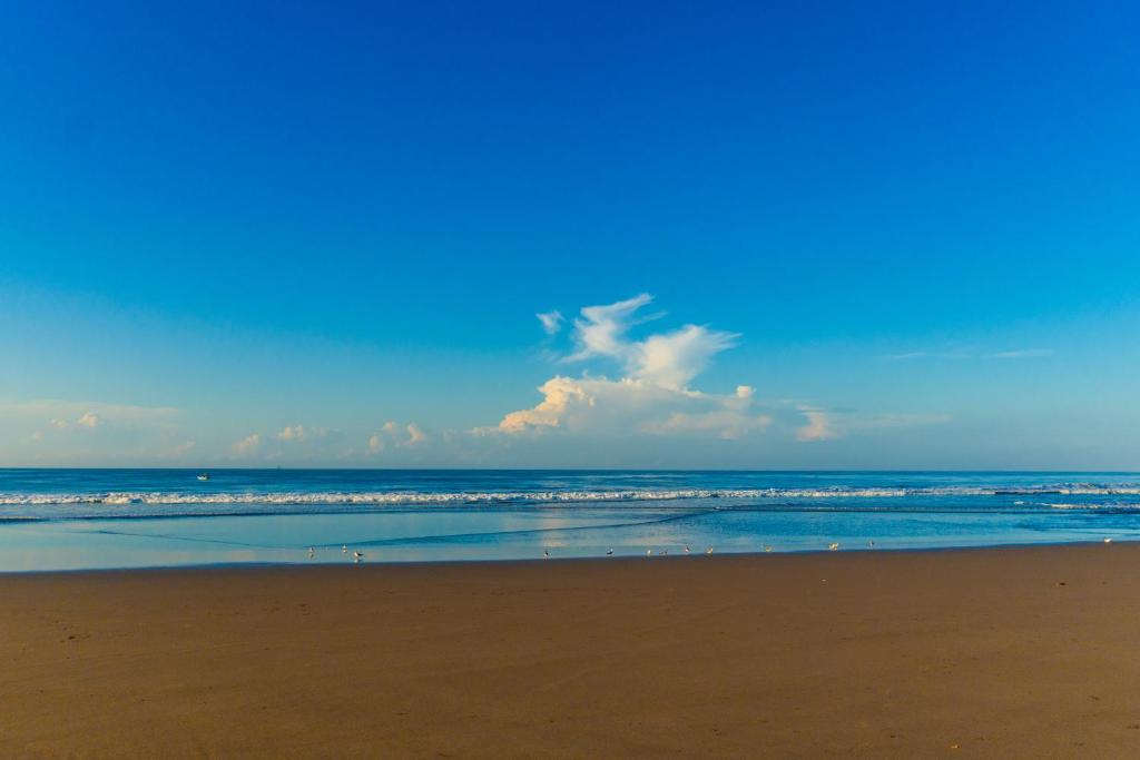 uma vista para a praia com o oceano em Ocean Paradise em Barra de Santiago