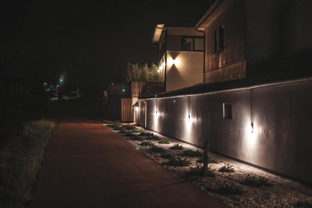 Alma Candida 21 - 18