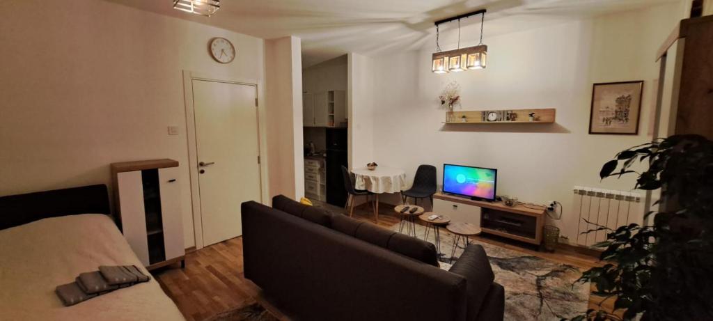 TV a/nebo společenská místnost v ubytování Amethyst