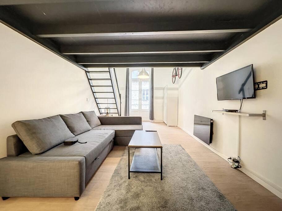 un salon avec un canapé et une télévision à écran plat dans l'établissement La Suite Duhamel - Au pied de la Gare - Au Calme, à Rennes