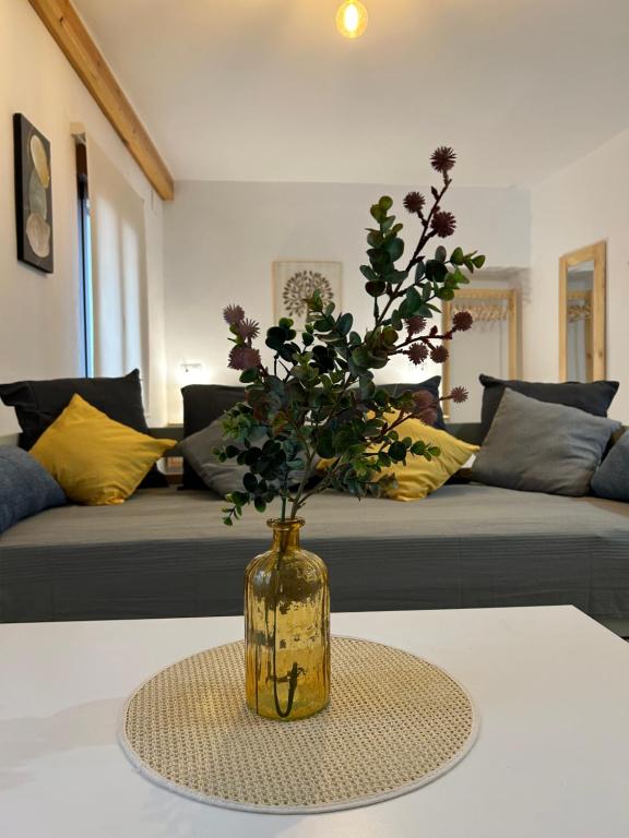 Apartamentos El Búho - 18