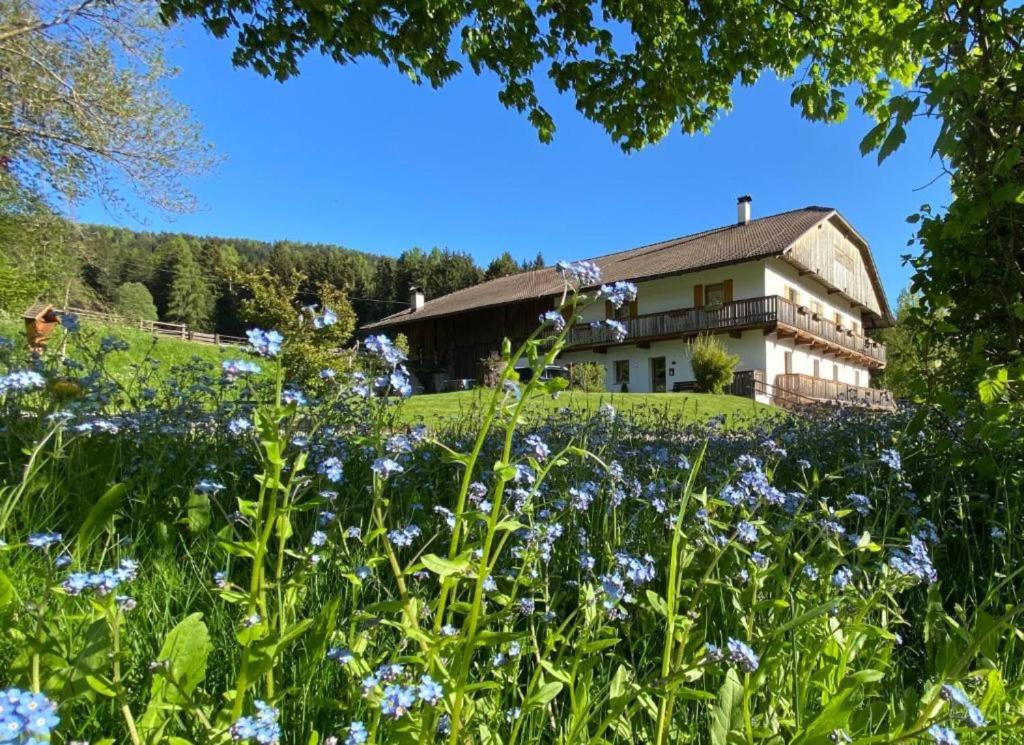 a house on a hill with a field of flowers at Schöpfer Hof - Urlaub beim Biobauer in Rasun di Sopra