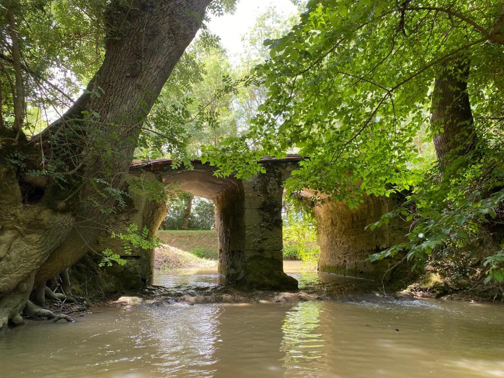 Príroda v okolí of the country house