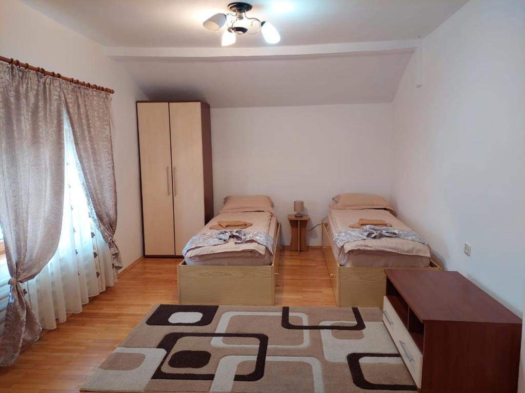 een kamer met 2 bedden en een tapijt op de vloer bij Casa Auraș 