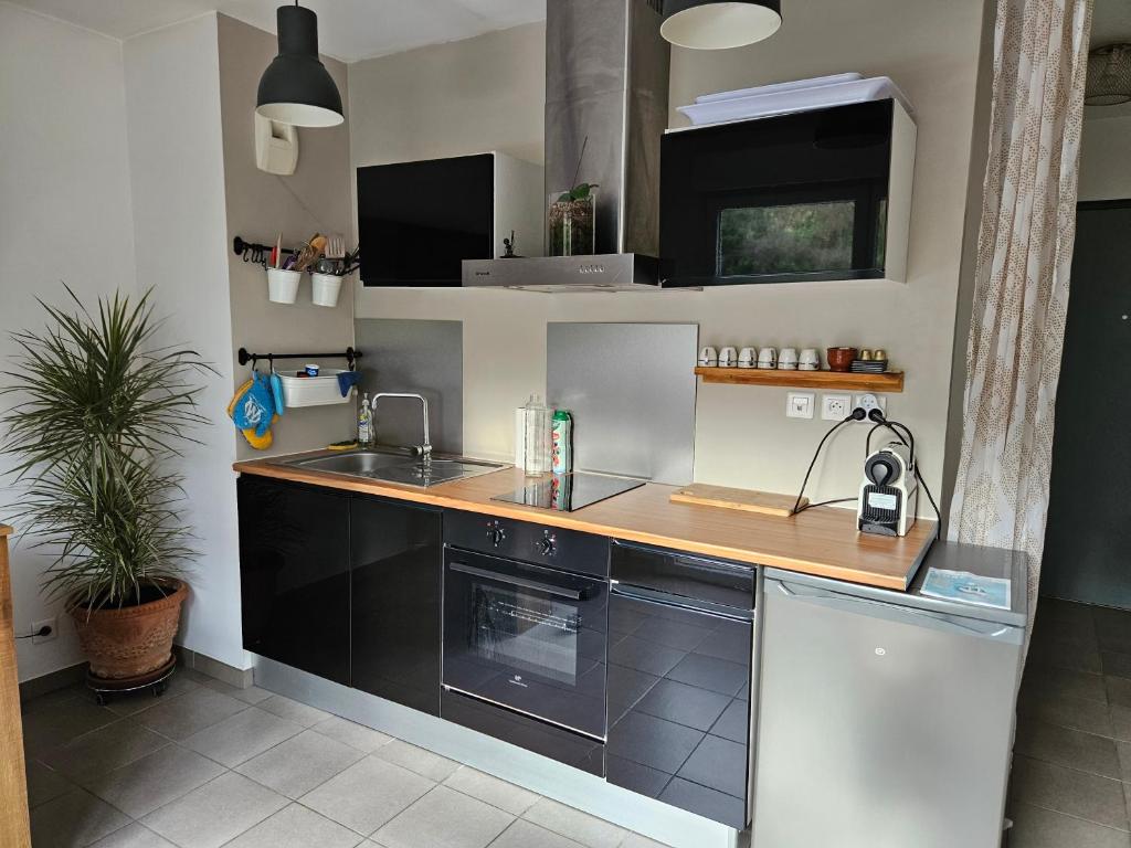 Il comprend une cuisine équipée d'un évier et d'une cuisinière. dans l'établissement Appartement cosy climatisé dans résidence fermée, à Sarrola-Carcopino