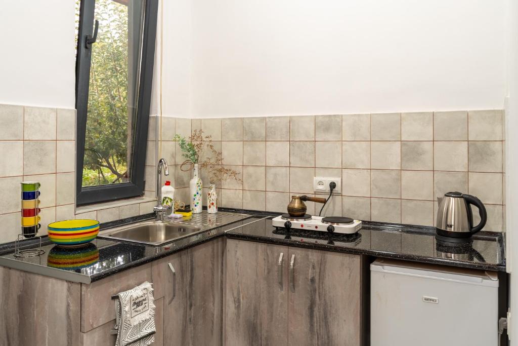 Kuchyň nebo kuchyňský kout v ubytování Art Rooms Garni