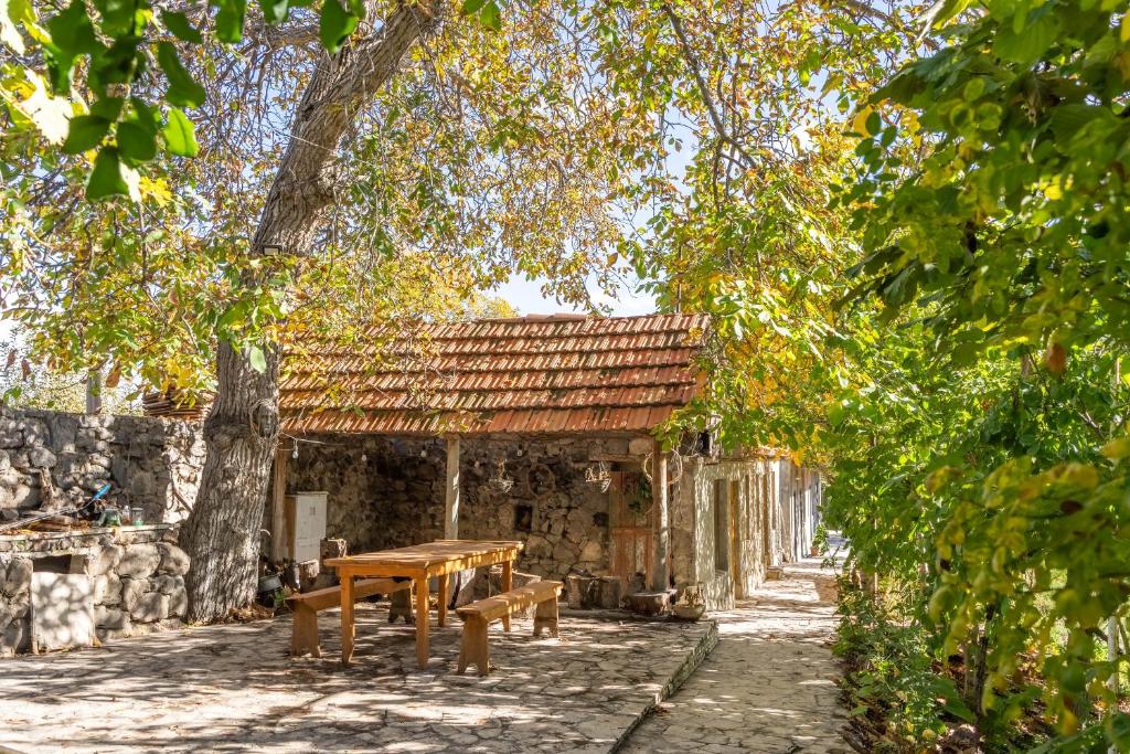 Zahrada ubytování Art Rooms Garni