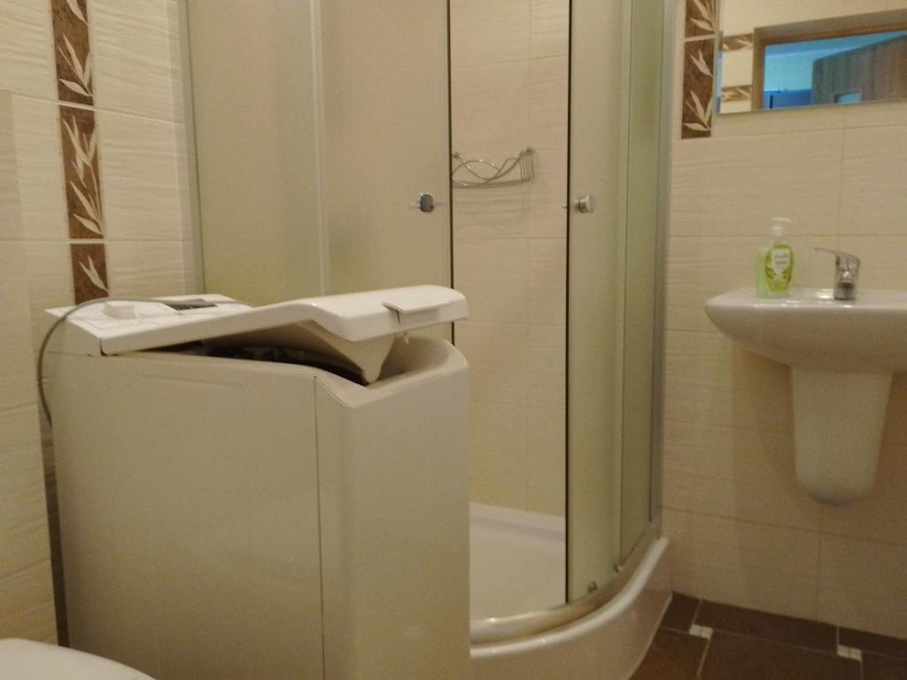 Koupelna v ubytování Apartament Alias