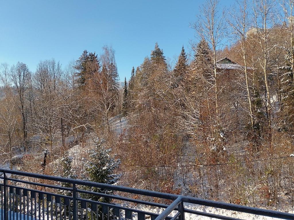 Apartament Alias v zimě