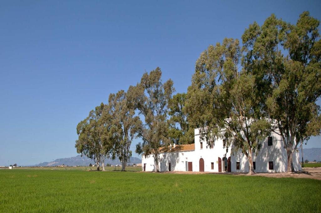an old white house with trees in a field at Mas Illa de Riu - Auténtica Masía del Delta del Ebro con capacidad para 20 personas - Deltavacaciones in Sant Jaume d'Enveja