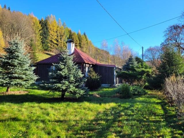 a house in the middle of a field with trees at Patysiówka in Stronie Śląskie
