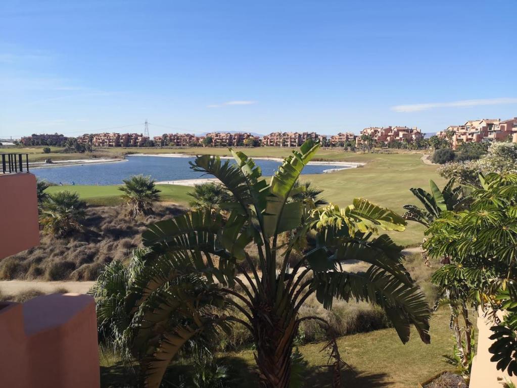 a view of a golf course with a palm tree at Lakeview Residence 'Casa Naranjas' Mar Menor Golf and Leisure Resort in Torre-Pacheco