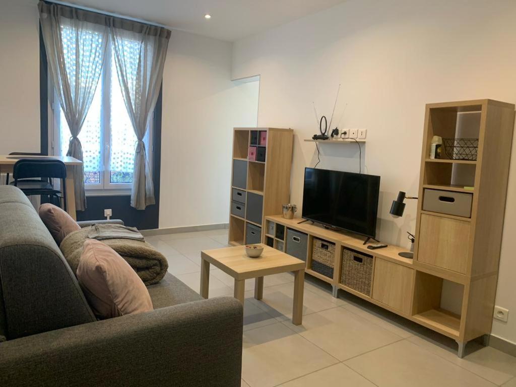 ein Wohnzimmer mit einem Sofa und einem TV in der Unterkunft STUDIO MOLIERE in Montrouge