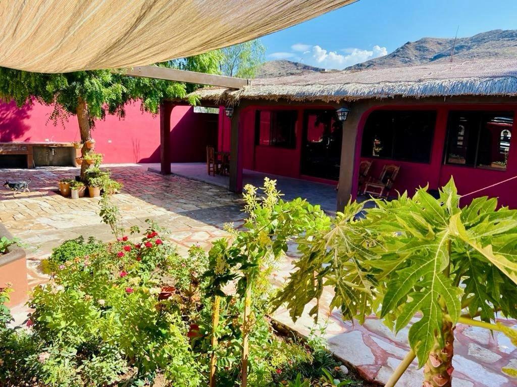 ein rotes Haus mit Pflanzen davor in der Unterkunft Casa El Pescador in Mulegé