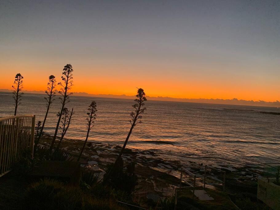 a sunset over the ocean with a plant in the foreground at Tequila Sunset in Yamba