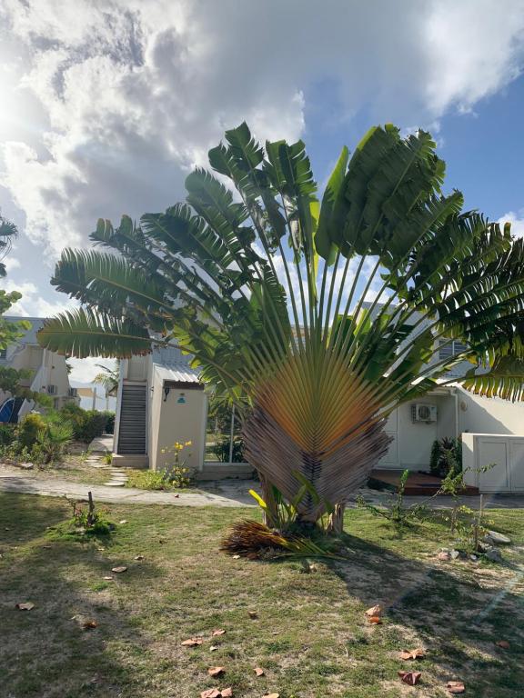 Zahrada ubytování Duplex luxe au NBBC , les pieds dans le sable