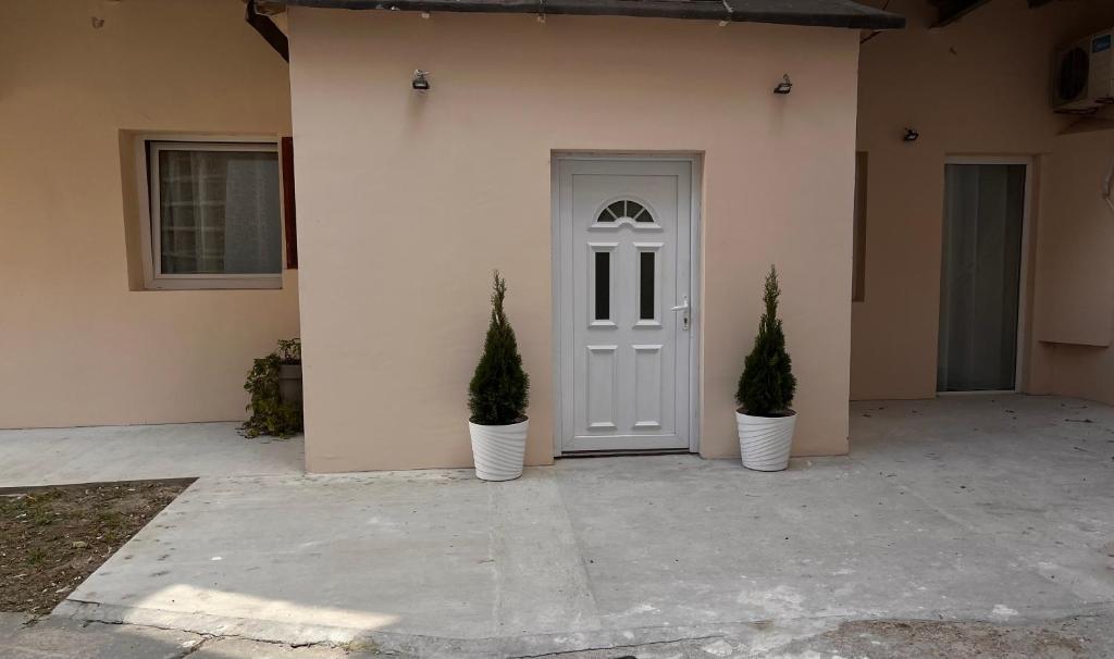 dos plantas en jarrones blancos delante de una puerta en JM Apartman, en Ruma