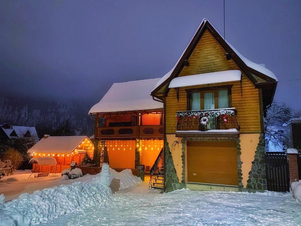 Barvinok Karpat v zimě