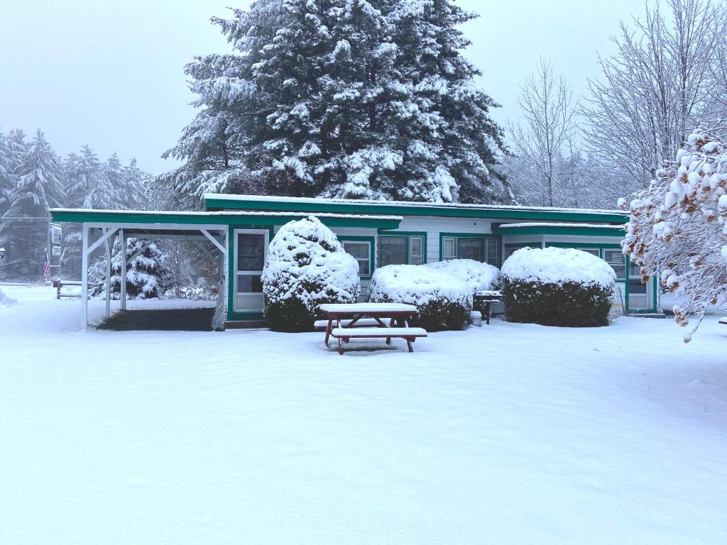 un edificio cubierto de nieve con un banco delante en PATIO MOTOR COURT, en Carroll