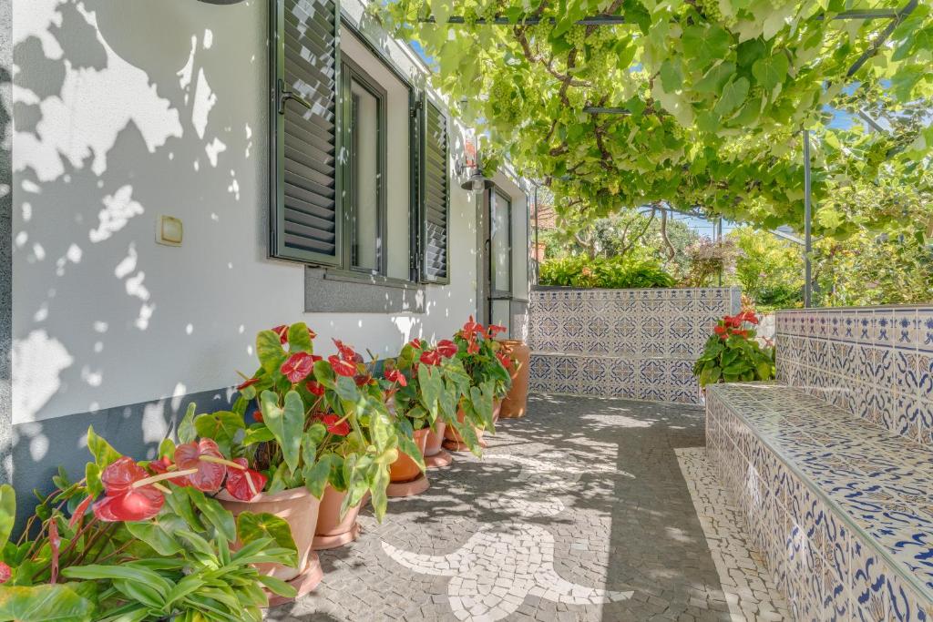 a row of potted plants on the side of a building at Passion Villa in Machico