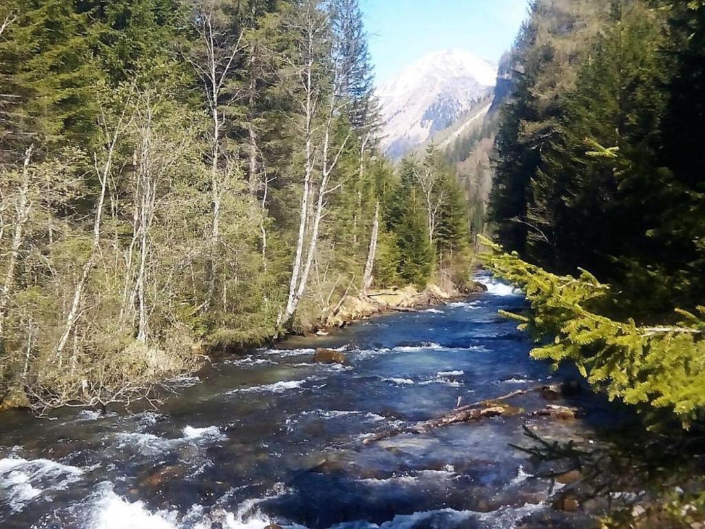 Príroda v okolí horskej chaty