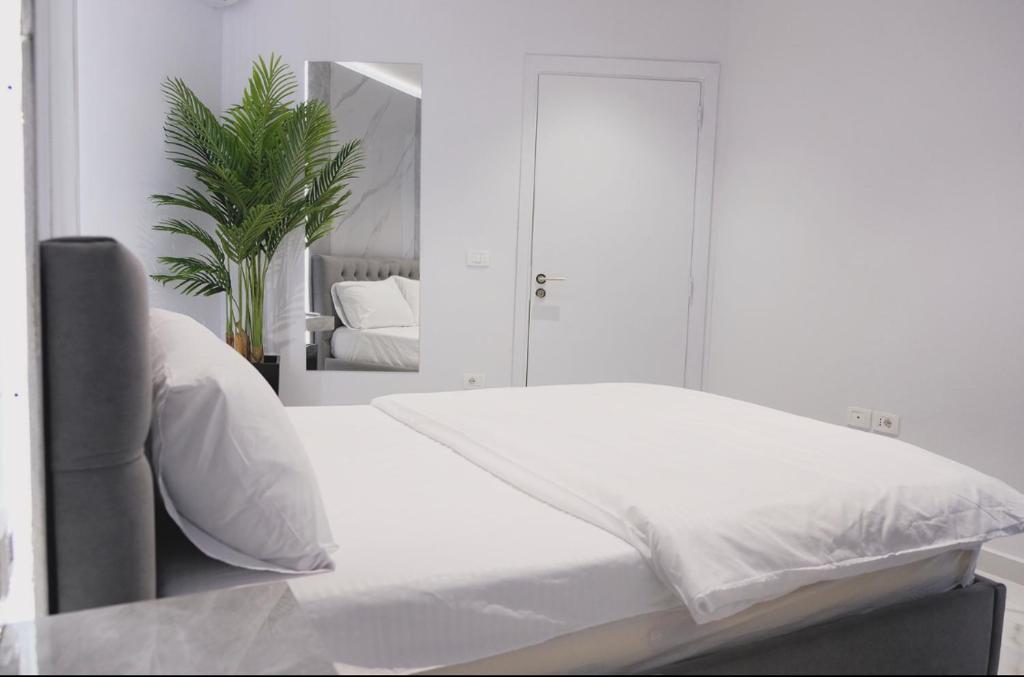 Suncity Tirana Luxury Apartments - Image 7