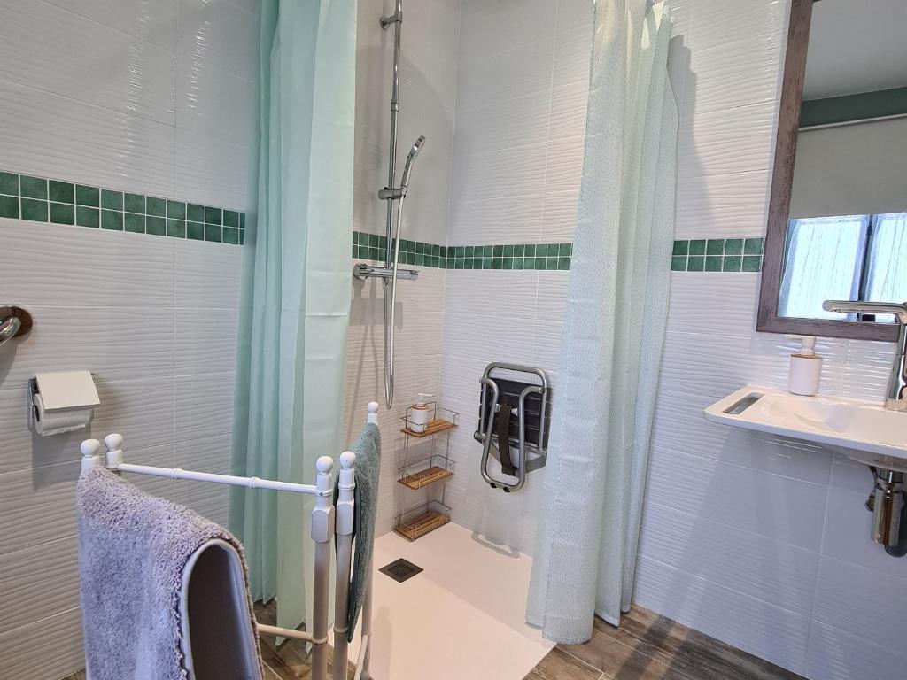 a bathroom with a shower and a sink at Guestroom Briare, 1 pièce, 2 personnes - FR-1-590-369 in Briare