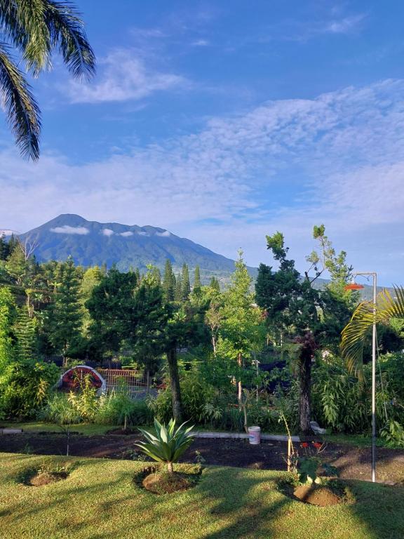 チサルアにあるVilla Kanaの山の景色を望む庭園