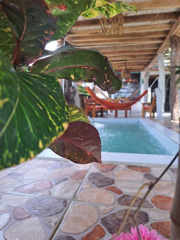 Bazén v ubytování Hotel Gabarra Lodge nebo v jeho okolí