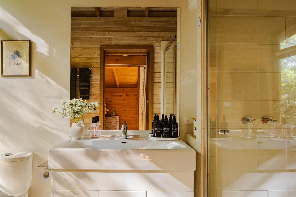 a bathroom with a sink and a shower at Modern Seednest Treehouse, Forest & Mountain View in Sassafras