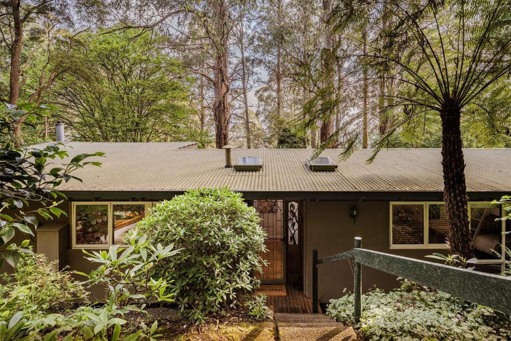 a small house in the middle of a forest at Modern Seednest Treehouse, Forest & Mountain View in Sassafras